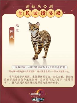 天龙八部私服远征